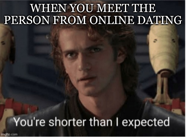girls in a nutshell | WHEN YOU MEET THE PERSON FROM ONLINE DATING | image tagged in youre shorter than i expected,online dating | made w/ Imgflip meme maker