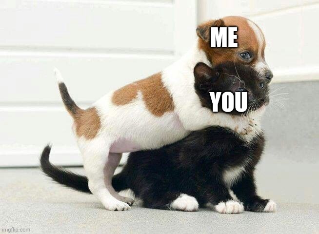 Dog Hugging Cat | ME YOU | image tagged in dog hugging cat | made w/ Imgflip meme maker