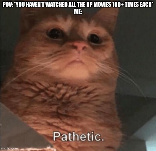 Pathetic Cat | POV: *YOU HAVEN'T WATCHED ALL THE HP MOVIES 100+ TIMES EACH*
ME: | image tagged in pathetic cat | made w/ Imgflip meme maker