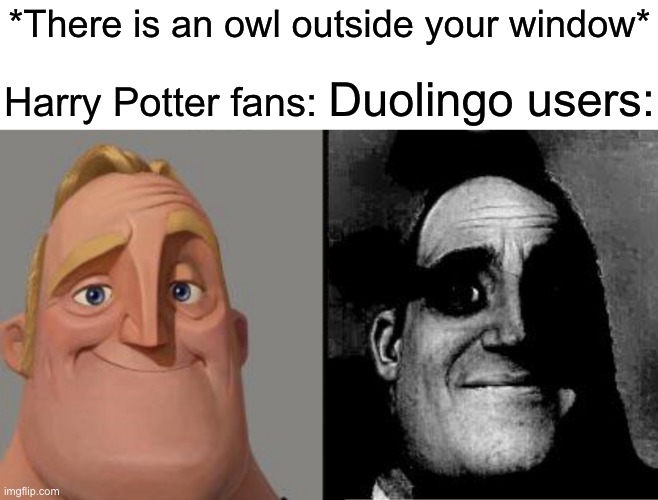 Spanish or vanish | *There is an owl outside your window*; Harry Potter fans:; Duolingo users: | image tagged in traumatized mr incredible,memes,funny,harry potter,duolingo | made w/ Imgflip meme maker