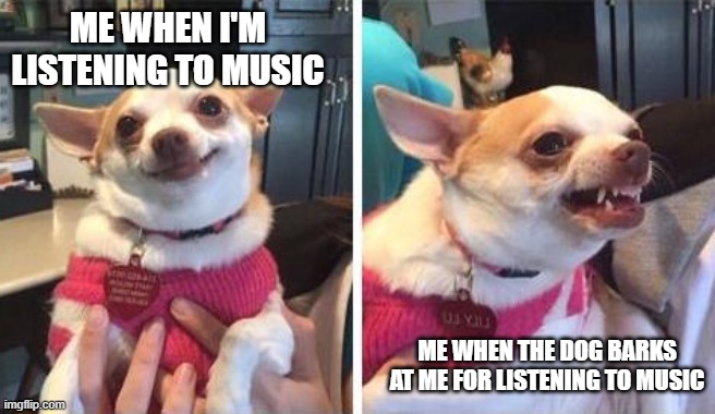 I know I'm a cat person but I kinda had to make a dog meme this time | ME WHEN I'M LISTENING TO MUSIC; ME WHEN THE DOG BARKS AT ME FOR LISTENING TO MUSIC | image tagged in memes,angry calm dog,relatable,pets can be jerks sometimes,asshole,doge | made w/ Imgflip meme maker