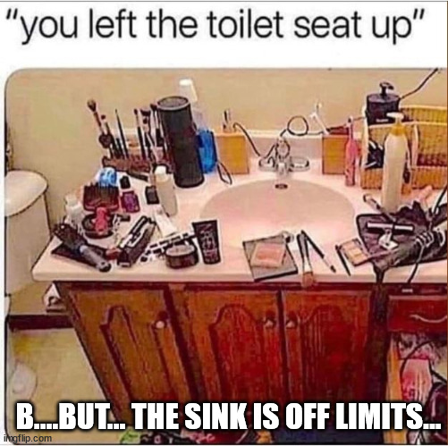 So true... | B....BUT... THE SINK IS OFF LIMITS... | image tagged in eye roll,bathroom humor | made w/ Imgflip meme maker
