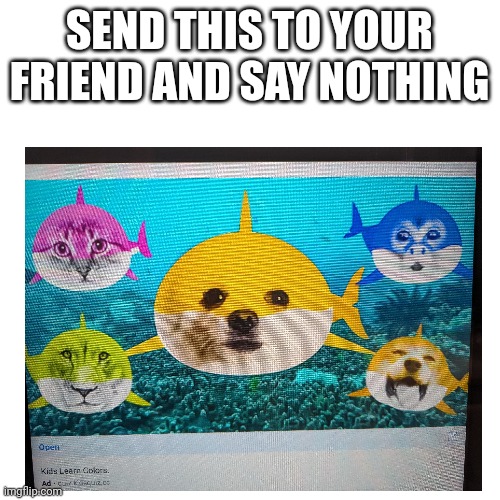 What | SEND THIS TO YOUR FRIEND AND SAY NOTHING | image tagged in memes,blank transparent square | made w/ Imgflip meme maker