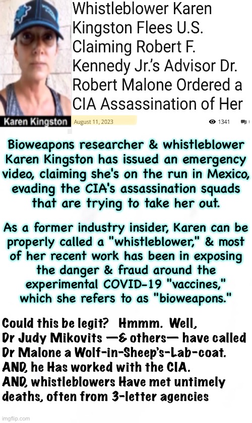 Kingston IS a truth-teller.  Her story sounds Plausible.  Who knows?  We’ll see | Bioweapons researcher & whistleblower
Karen Kingston has issued an emergency
video, claiming she's on the run in Mexico,
evading the CIA's assassination squads
that are trying to take her out. As a former industry insider, Karen can be
properly called a "whistleblower," & most
of her recent work has been in exposing
the danger & fraud around the
experimental COVID-19 "vaccines,"
which she refers to as "bioweapons."; Could this be legit?   Hmmm.  Well, 
Dr Judy Mikovits —& others— have called
Dr Malone a Wolf-in-Sheep’s-Lab-coat. 
AND, he Has worked with the CIA.
AND, whistleblowers Have met untimely
deaths, often from 3-letter agencies | image tagged in memes,cia,karen kingston,whistleblower,fjb voters can kissmyass,aug 11 2023 | made w/ Imgflip meme maker