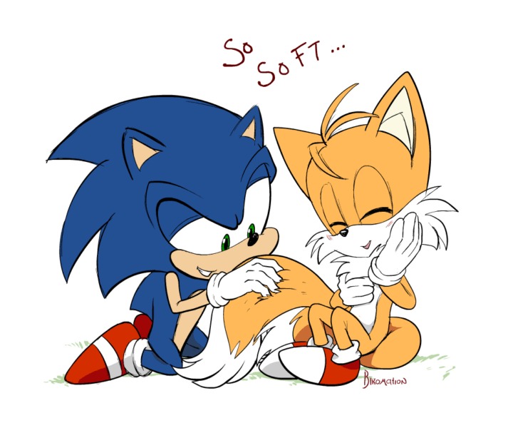 High Quality Sonic petting tails Blank Meme Template