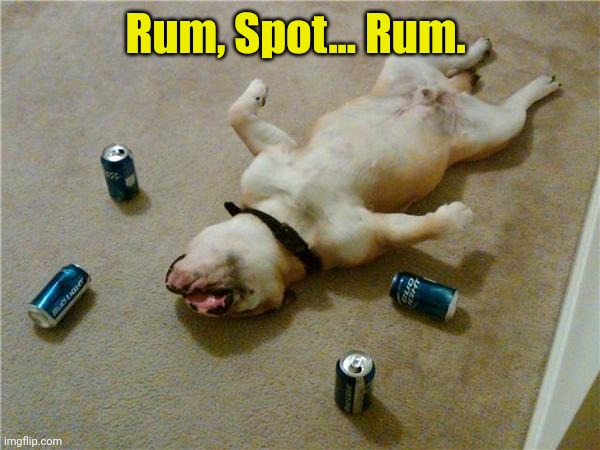 drunk dog | Rum, Spot... Rum. | image tagged in drunk dog | made w/ Imgflip meme maker