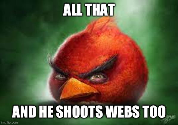 Realistic Red Angry Birds | ALL THAT AND HE SHOOTS WEBS TOO | image tagged in realistic red angry birds | made w/ Imgflip meme maker