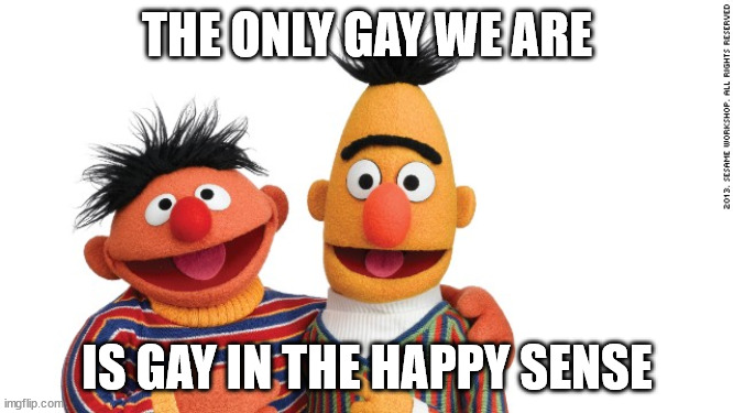bert and ernie | THE ONLY GAY WE ARE; IS GAY IN THE HAPPY SENSE | image tagged in bert and ernie | made w/ Imgflip meme maker