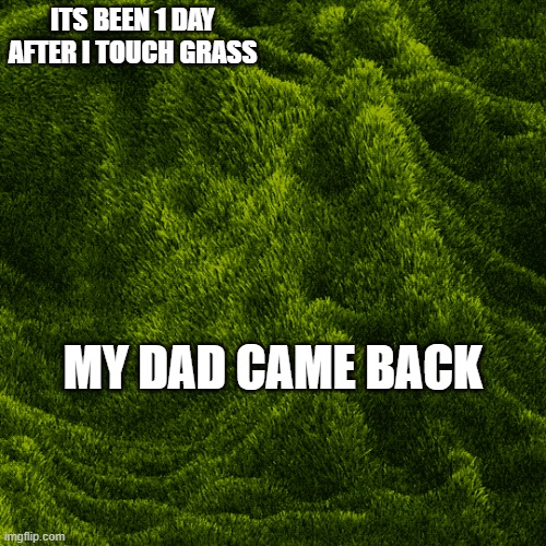 i did the impossible | ITS BEEN 1 DAY AFTER I TOUCH GRASS; MY DAD CAME BACK | image tagged in grass,memes | made w/ Imgflip meme maker