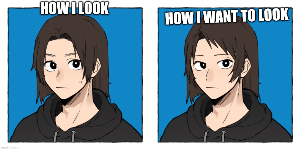 HOW I WANT TO LOOK; HOW I LOOK | image tagged in why are you reading this | made w/ Imgflip meme maker