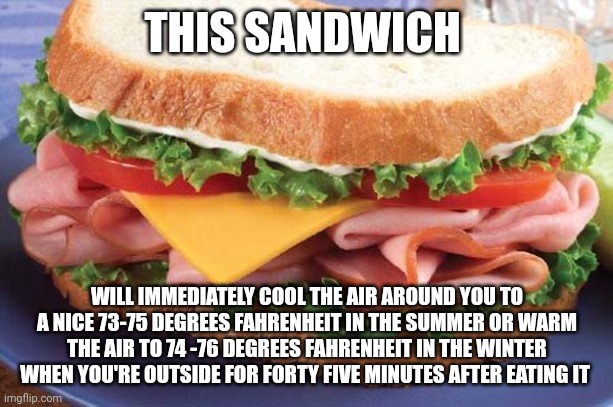 Air conditioner sandwich | THIS SANDWICH; WILL IMMEDIATELY COOL THE AIR AROUND YOU TO A NICE 73-75 DEGREES FAHRENHEIT IN THE SUMMER OR WARM THE AIR TO 74 -76 DEGREES FAHRENHEIT IN THE WINTER WHEN YOU'RE OUTSIDE FOR FORTY FIVE MINUTES AFTER EATING IT | image tagged in sandwich | made w/ Imgflip meme maker