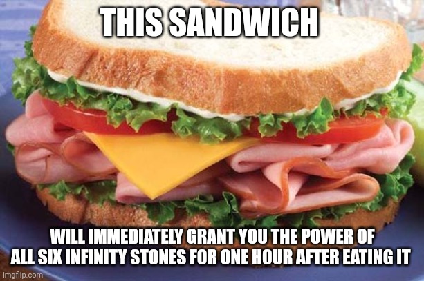 Infinity sandwich | THIS SANDWICH; WILL IMMEDIATELY GRANT YOU THE POWER OF ALL SIX INFINITY STONES FOR ONE HOUR AFTER EATING IT | image tagged in sandwich | made w/ Imgflip meme maker