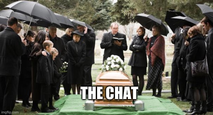 funeral | THE CHAT | image tagged in funeral | made w/ Imgflip meme maker