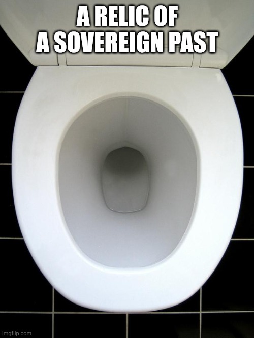 A relic of a sovereign past DDO | A RELIC OF A SOVEREIGN PAST | image tagged in toilet | made w/ Imgflip meme maker