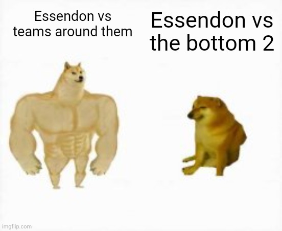 Two dogs | Essendon vs the bottom 2; Essendon vs teams around them | image tagged in two dogs | made w/ Imgflip meme maker