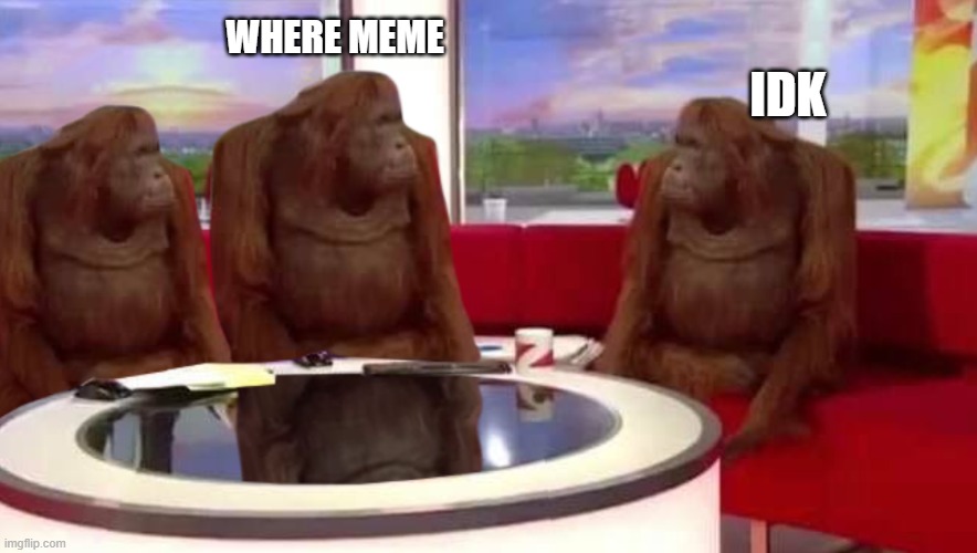 where monkey | WHERE MEME; IDK | image tagged in where monkey | made w/ Imgflip meme maker