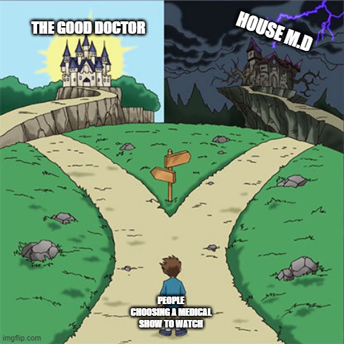 Two Paths | THE GOOD DOCTOR; HOUSE M.D; PEOPLE CHOOSING A MEDICAL SHOW TO WATCH | image tagged in two paths | made w/ Imgflip meme maker