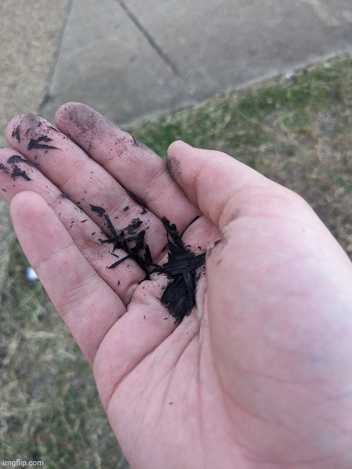 It was raining ash from the sugar cane fires, and a piece of ash got in my mouth | made w/ Imgflip meme maker