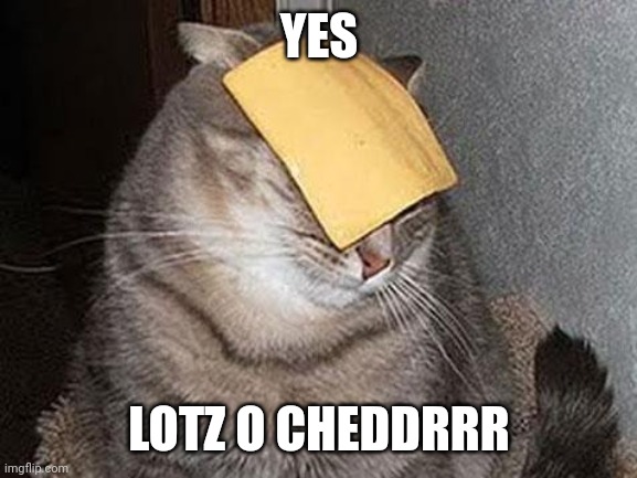 Cats with cheese | YES LOTZ O CHEDDRRR | image tagged in cats with cheese | made w/ Imgflip meme maker