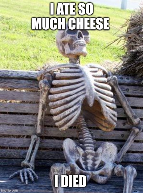 Waiting Skeleton Meme | I ATE SO MUCH CHEESE I DIED | image tagged in memes,waiting skeleton | made w/ Imgflip meme maker