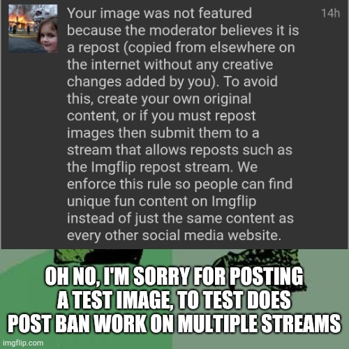 -_- | OH NO, I'M SORRY FOR POSTING A TEST IMAGE, TO TEST DOES POST BAN WORK ON MULTIPLE STREAMS | image tagged in memes,philosoraptor | made w/ Imgflip meme maker