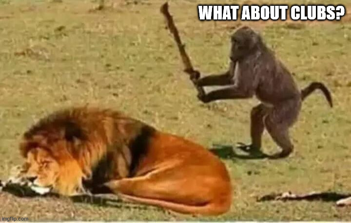 Monkey lion | WHAT ABOUT CLUBS? | image tagged in monkey lion | made w/ Imgflip meme maker