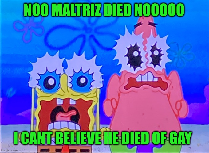 im literally crying rn | NOO MALTRIZ DIED NOOOOO; I CANT BELIEVE HE DIED OF GAY | image tagged in scare spongboob and patrichard | made w/ Imgflip meme maker