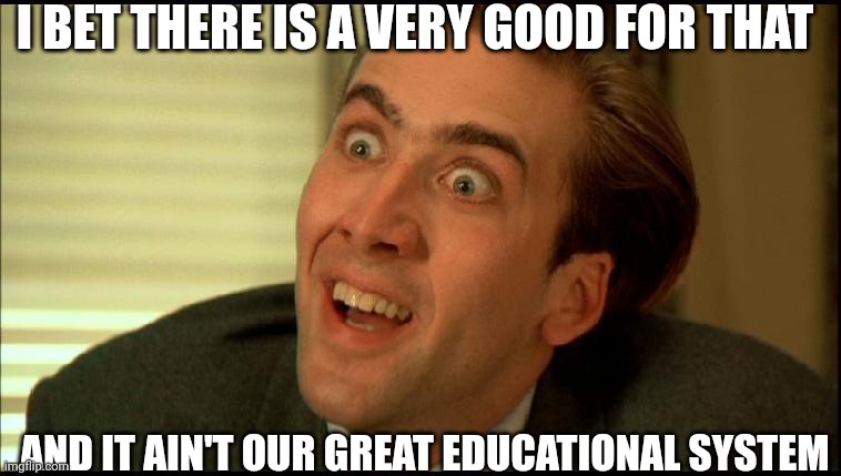 You Don't Say - Nicholas Cage | I BET THERE IS A VERY GOOD FOR THAT AND IT AIN'T OUR GREAT EDUCATIONAL SYSTEM | image tagged in you don't say - nicholas cage | made w/ Imgflip meme maker