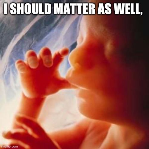 Fetus | I SHOULD MATTER AS WELL, | image tagged in fetus | made w/ Imgflip meme maker