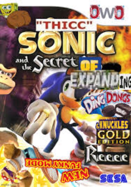 image tagged in sonic the hedgehog,expand dong | made w/ Imgflip meme maker