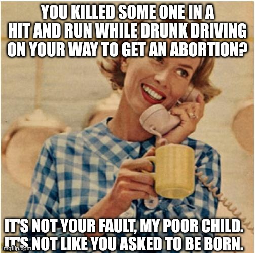 innocent mom | YOU KILLED SOME ONE IN A HIT AND RUN WHILE DRUNK DRIVING ON YOUR WAY TO GET AN ABORTION? IT'S NOT YOUR FAULT, MY POOR CHILD.
IT'S NOT LIKE Y | image tagged in innocent mom | made w/ Imgflip meme maker