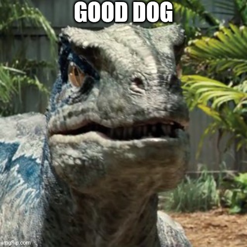 Good dog | GOOD DOG | image tagged in blue raptor face | made w/ Imgflip meme maker