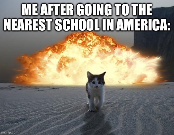 cat explosion | ME AFTER GOING TO THE NEAREST SCHOOL IN AMERICA: | image tagged in cat explosion | made w/ Imgflip meme maker