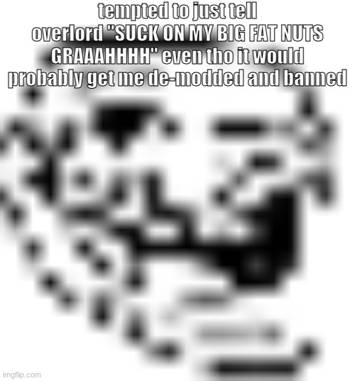 low resolution troll face | tempted to just tell overlord "SUCK ON MY BIG FAT NUTS GRAAAHHHH" even tho it would probably get me de-modded and banned | image tagged in low resolution troll face | made w/ Imgflip meme maker