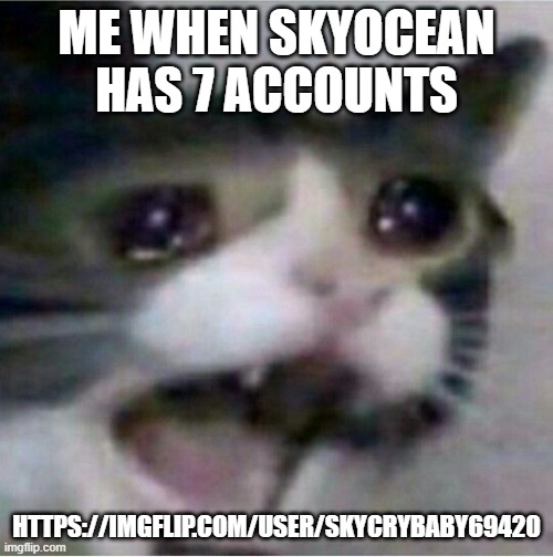 https://imgflip.com/user/SkyCryBaby69420 | ME WHEN SKYOCEAN HAS 7 ACCOUNTS; HTTPS://IMGFLIP.COM/USER/SKYCRYBABY69420 | image tagged in crying cat | made w/ Imgflip meme maker