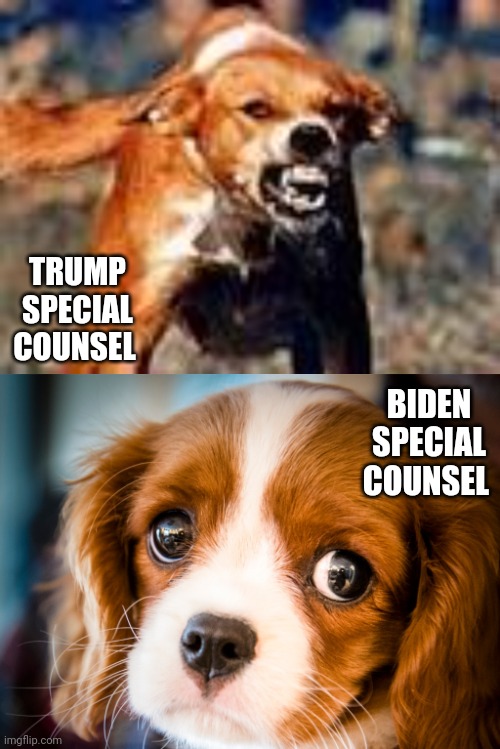 TRUMP SPECIAL COUNSEL; BIDEN SPECIAL COUNSEL | image tagged in rabid dog,puppy dog eyes cute | made w/ Imgflip meme maker