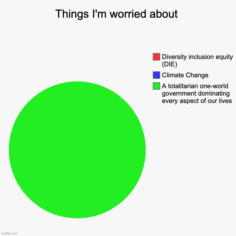 Kinda sums it up -- Liberty is everything | Things I'm worried about | A totalitarian one-world government dominating every aspect of our lives, Climate Change, Diversity inclusion equ | image tagged in charts,pie charts | made w/ Imgflip chart maker