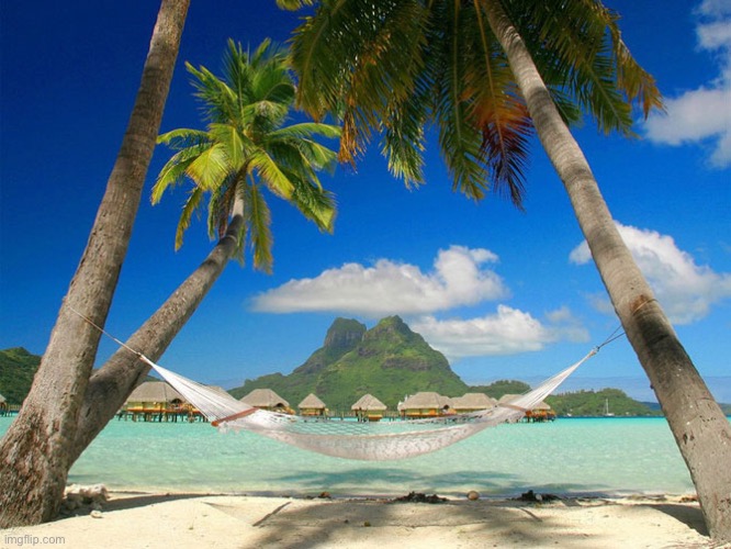Tropical Paradise | image tagged in tropical paradise | made w/ Imgflip meme maker