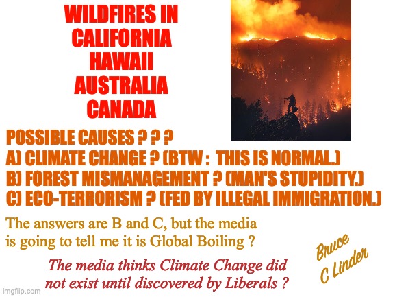 Wildfires | WILDFIRES IN
CALIFORNIA
HAWAII
AUSTRALIA
CANADA; POSSIBLE CAUSES ? ? ?
A) CLIMATE CHANGE ? (BTW :  THIS IS NORMAL.)
B) FOREST MISMANAGEMENT ? (MAN'S STUPIDITY.)
C) ECO-TERRORISM ? (FED BY ILLEGAL IMMIGRATION.); The answers are B and C, but the media
is going to tell me it is Global Boiling ? Bruce
C Linder; The media thinks Climate Change did not exist until discovered by Liberals ? | image tagged in climate change,eco-terrorism,forest mismanagement,mans stupidity,illegal immigration,the media | made w/ Imgflip meme maker