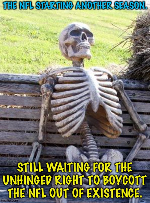 Not happening | THE NFL STARTING ANOTHER SEASON. STILL WAITING FOR THE UNHINGED RIGHT TO BOYCOTT THE NFL OUT OF EXISTENCE. | image tagged in memes,waiting skeleton | made w/ Imgflip meme maker