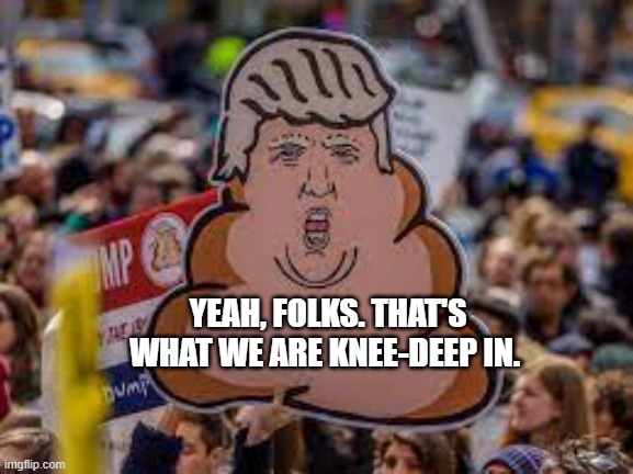 Donald Trump | YEAH, FOLKS. THAT'S WHAT WE ARE KNEE-DEEP IN. | image tagged in donald trump,republicans,conservatives,trump 2024,truth social | made w/ Imgflip meme maker