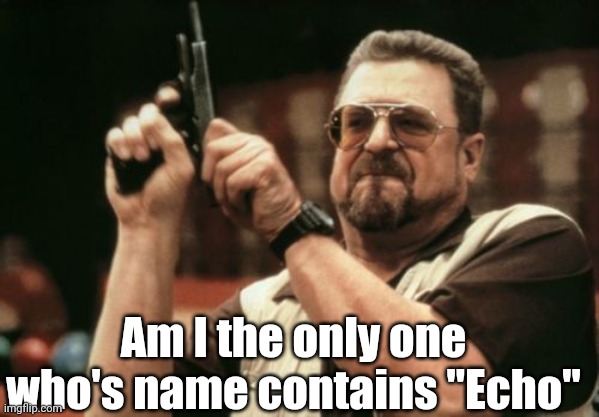 Am I The Only One Around Here | Am I the only one who's name contains "Echo" | image tagged in memes,am i the only one around here | made w/ Imgflip meme maker