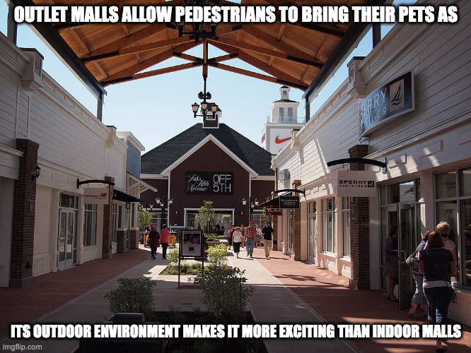 Outlet Malls | OUTLET MALLS ALLOW PEDESTRIANS TO BRING THEIR PETS AS; ITS OUTDOOR ENVIRONMENT MAKES IT MORE EXCITING THAN INDOOR MALLS | image tagged in malls,memes | made w/ Imgflip meme maker