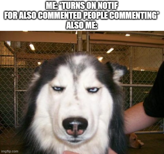 You made a mistake by doing it. | ME: *TURNS ON NOTIF FOR ALSO COMMENTED PEOPLE COMMENTING*
ALSO ME: | image tagged in annoyed dog,yes,relatable | made w/ Imgflip meme maker