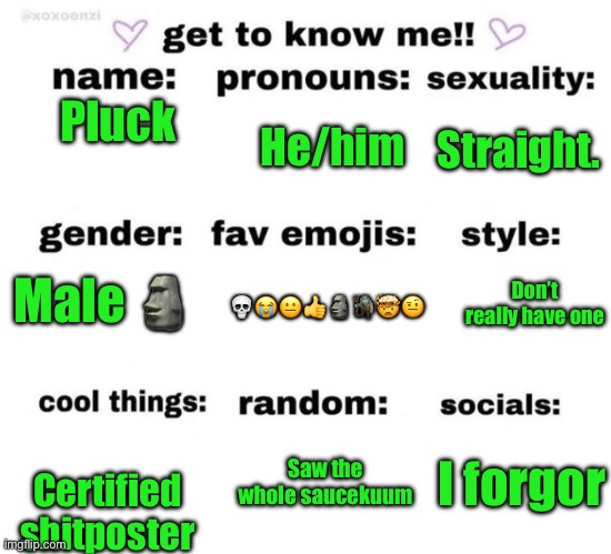 get to know me | Pluck; He/him; Straight. Male 🗿; 💀😭😐👍🗿🧌🤯🤨; Don’t really have one; I forgor; Saw the whole saucekuum; Certified shitposter | image tagged in get to know me | made w/ Imgflip meme maker