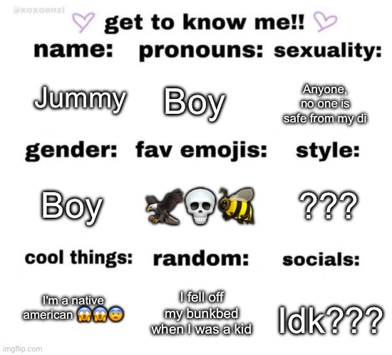 WOOO | Anyone, no one is safe from my di; Jummy; Boy; ??? Boy; 🦅💀🐝; I'm a native american 😱😱😨; I fell off my bunkbed when I was a kid; Idk??? | image tagged in get to know me | made w/ Imgflip meme maker