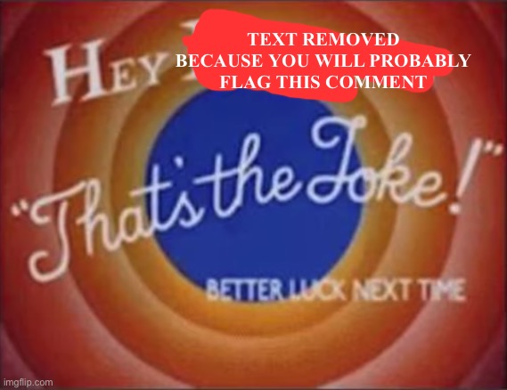 hey dumbass that's the joke | TEXT REMOVED BECAUSE YOU WILL PROBABLY FLAG THIS COMMENT | image tagged in hey dumbass that's the joke | made w/ Imgflip meme maker