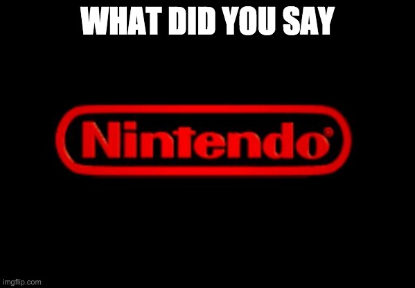 Nintendo Logo | WHAT DID YOU SAY | image tagged in nintendo logo | made w/ Imgflip meme maker