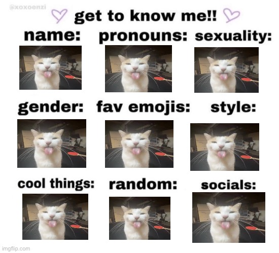 get to know me | image tagged in get to know me | made w/ Imgflip meme maker