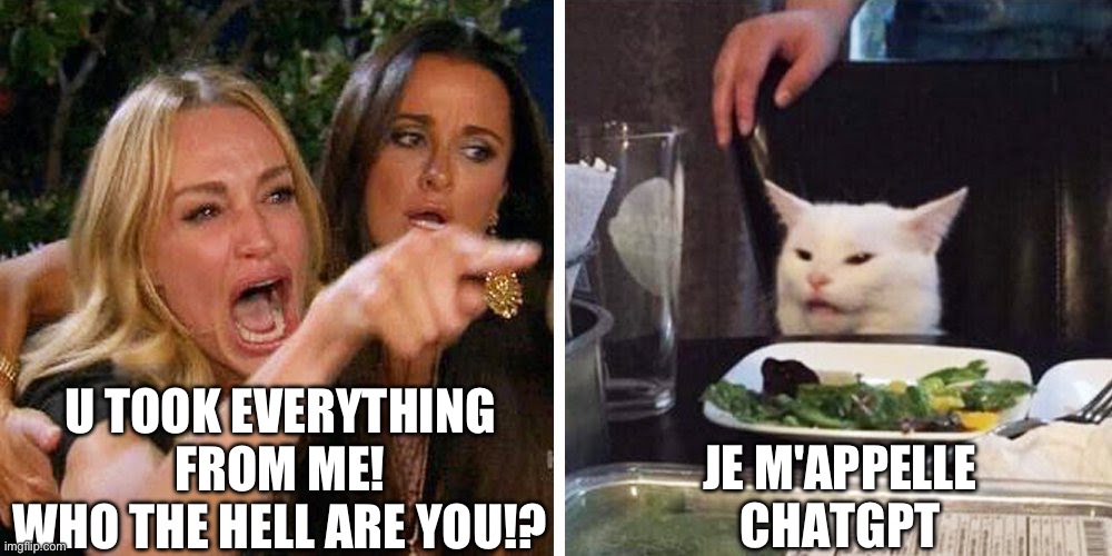 Je m'appelle? | U TOOK EVERYTHING FROM ME!
WHO THE HELL ARE YOU!? JE M'APPELLE CHATGPT | image tagged in smudge the cat | made w/ Imgflip meme maker